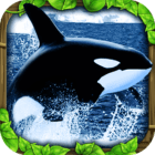 Orca Simulator Logo