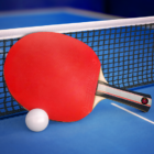 Ping Pong Fury Logo