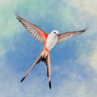 Wingspan Logo